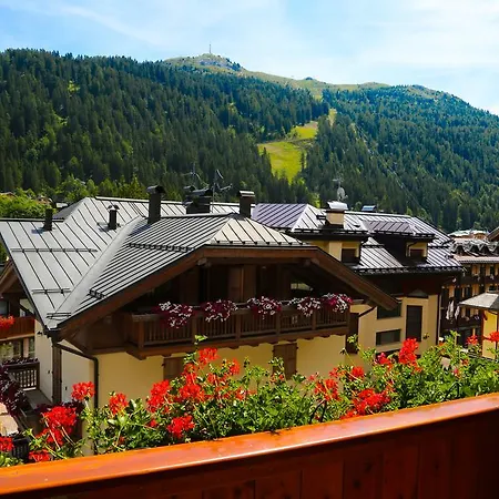 호텔 Dolomiti Cozzio 3*